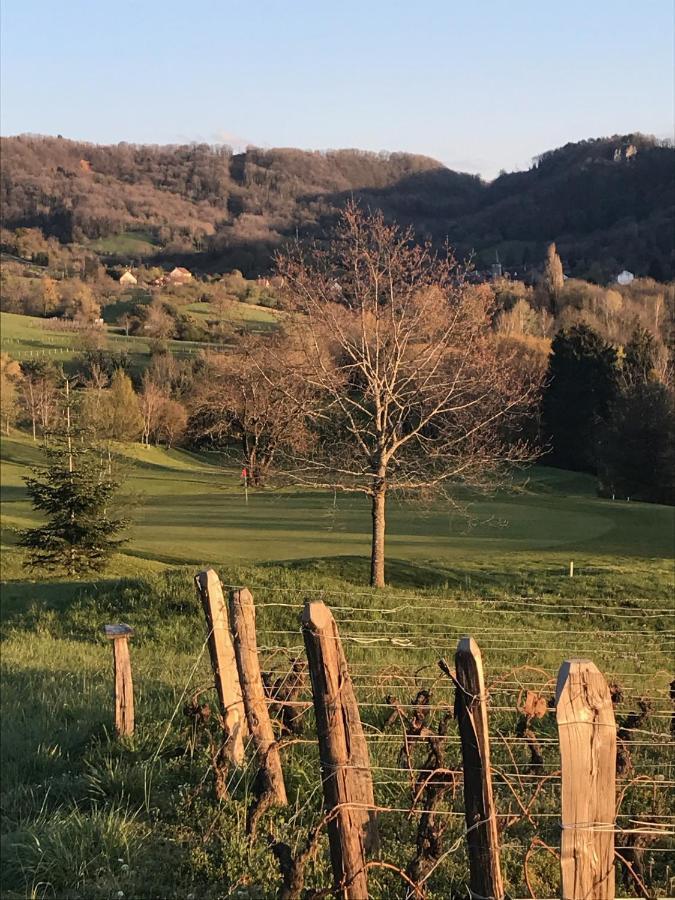 Golf Val De Sorne Vernantois Maison Vigneronne 外观 照片